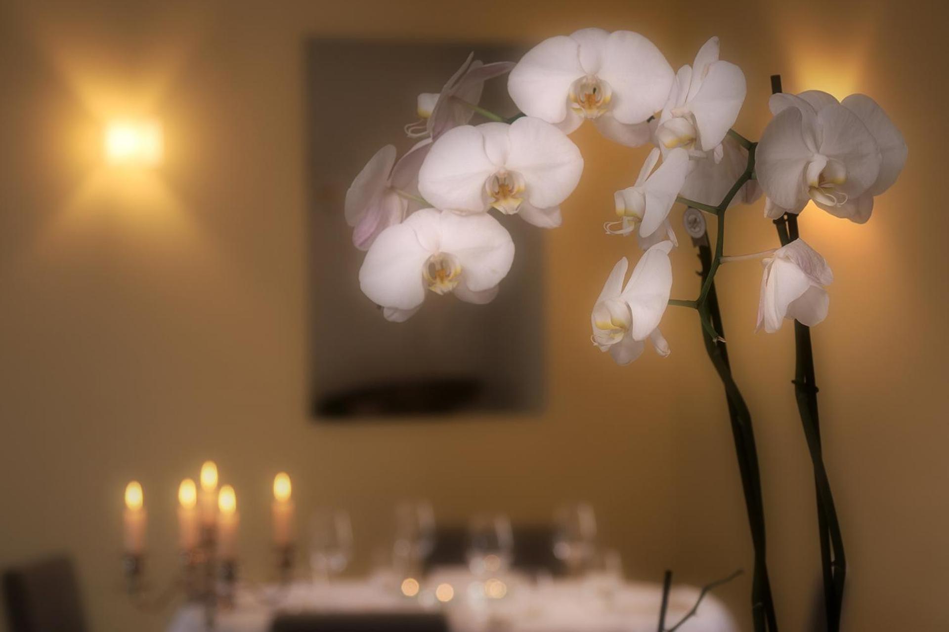 Ponte Brolla Ristorante Charme Hotel Tre Terre المظهر الخارجي الصورة